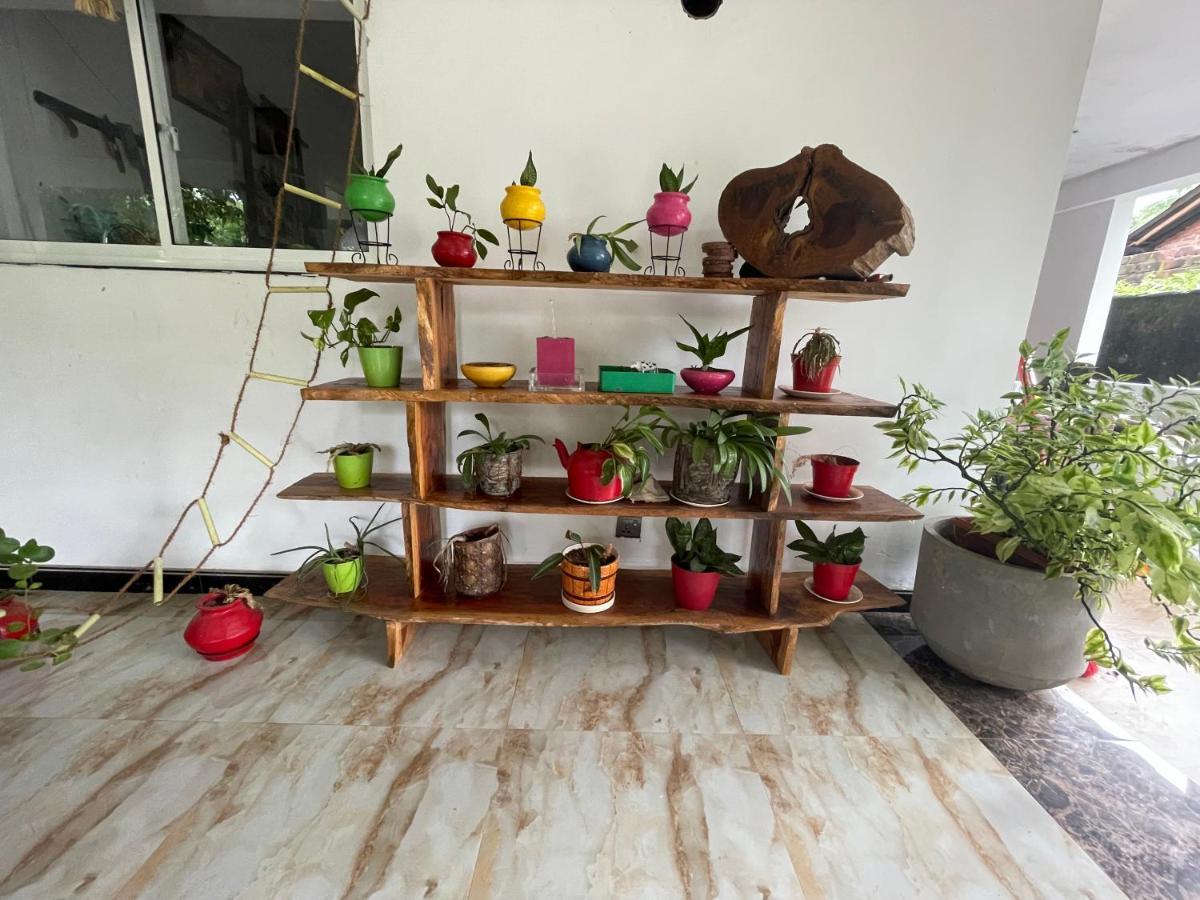 פולונרואה Rock Cascade Tourist Home & Cookery School מראה חיצוני תמונה