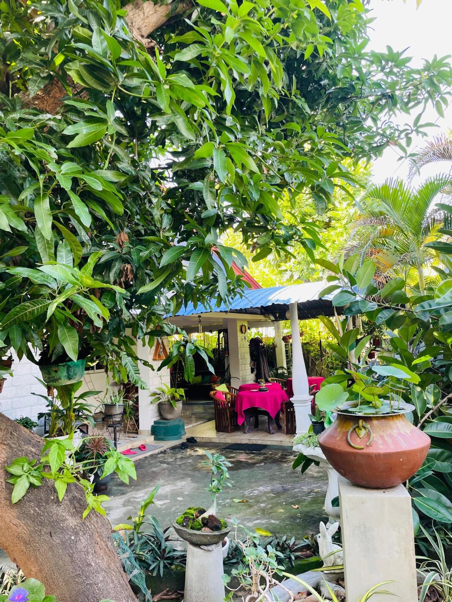 פולונרואה Rock Cascade Tourist Home & Cookery School מראה חיצוני תמונה