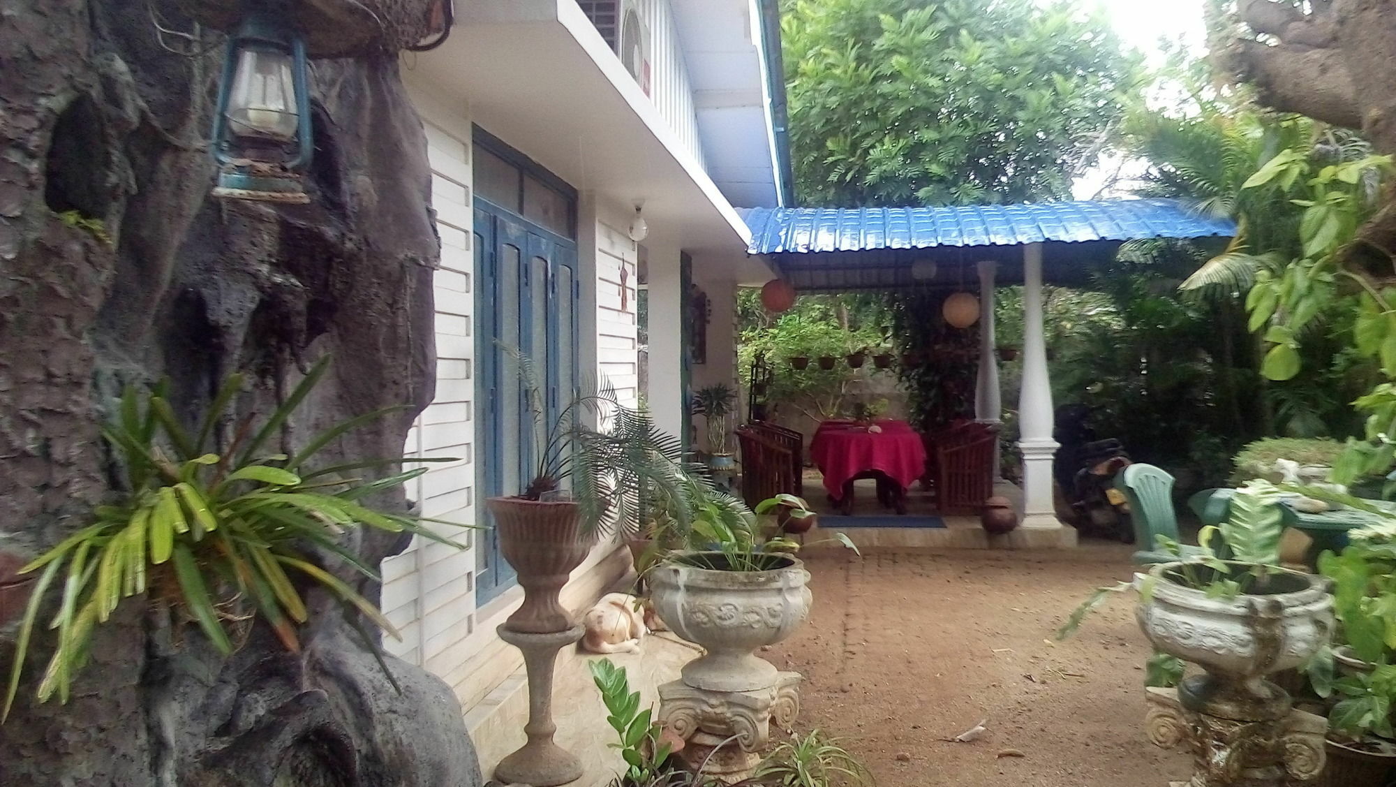 פולונרואה Rock Cascade Tourist Home & Cookery School מראה חיצוני תמונה